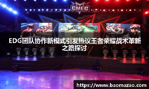 EDG团队协作新模式引发热议王者荣耀战术革新之路探讨
